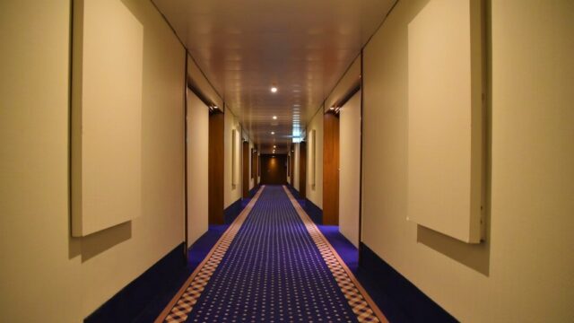 Hotel Carpets Can Worsen Allergy Symptoms, Doctors Warn as Indoor Triggers Spread