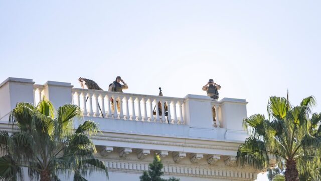Man dies after balcony fall as Sydney police try to enter apartment