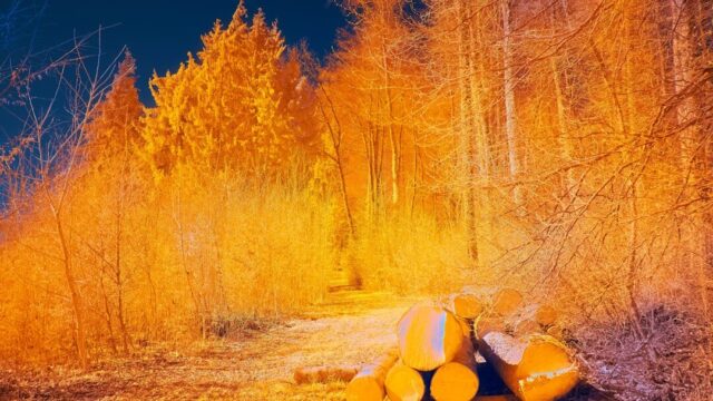 Melbourne logs its hottest winter on record as Australia braces for an early spring heat spike