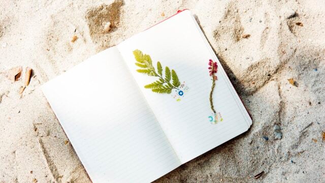 Open Notebook Is