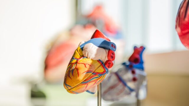 UK’s first dissolvable heart implant lets teenage rugby player keep her dream