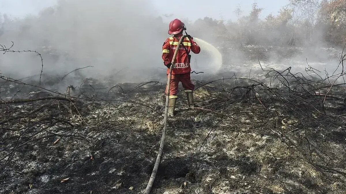 Indonesia Charges Two Over Illegal Wildfire in Jambi Protected Forest