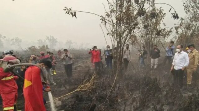 Indonesia House Speaker Demands Probe into Burned Land Palm Conversion