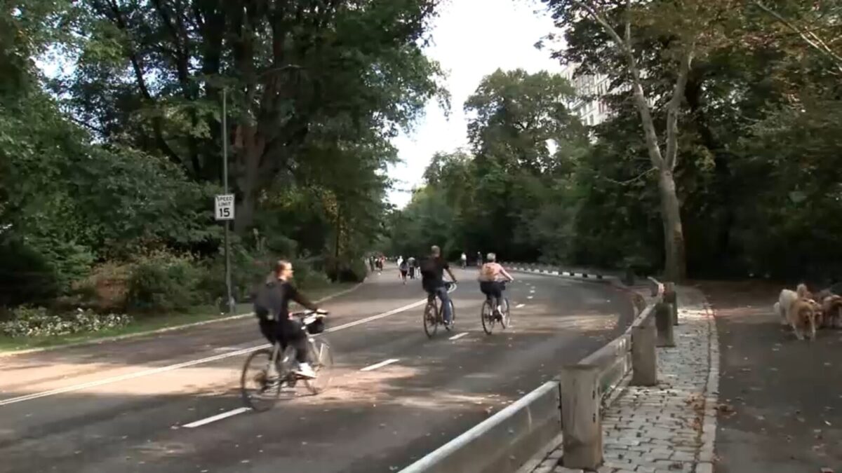 Cyclist Killed in Central Park Collision With Off-Leash Dog