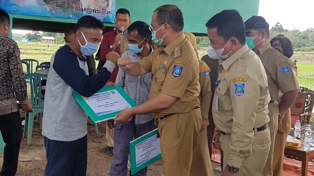 Petani Padi Buyan Akan Dapatkan Bantuan Untuk Tingkatkan Produksi