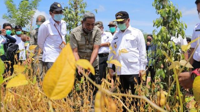 Harga Komoditi Unggulan Naik, Para Petani di Babel Bisa Bernapas Lega