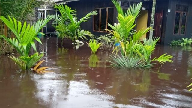 Sungai Teluk Dawan Terkenal Buaya Buas, Kini Meluap Hingga Halaman Rumah