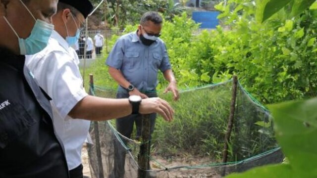 Gubernur Babel Arahkan Penangkaran Penyu Guntung Jadi Wisata Edukasi