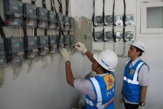 PLN