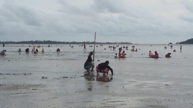 Tradisi Ngeremis, Ratusan Masyarakat Belitung Turun Ke Pantai
