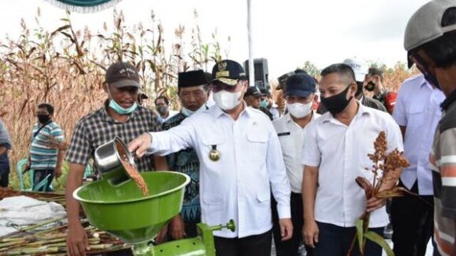 Nilai Tukar Petani Babel Tertinggi di Indonesia