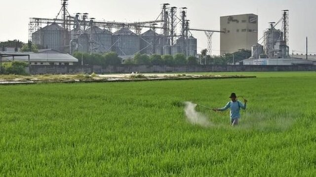 Dirjen PPTR; Tidak Benar UUCK Mendorong Alih Fungsi Lahan Sawah