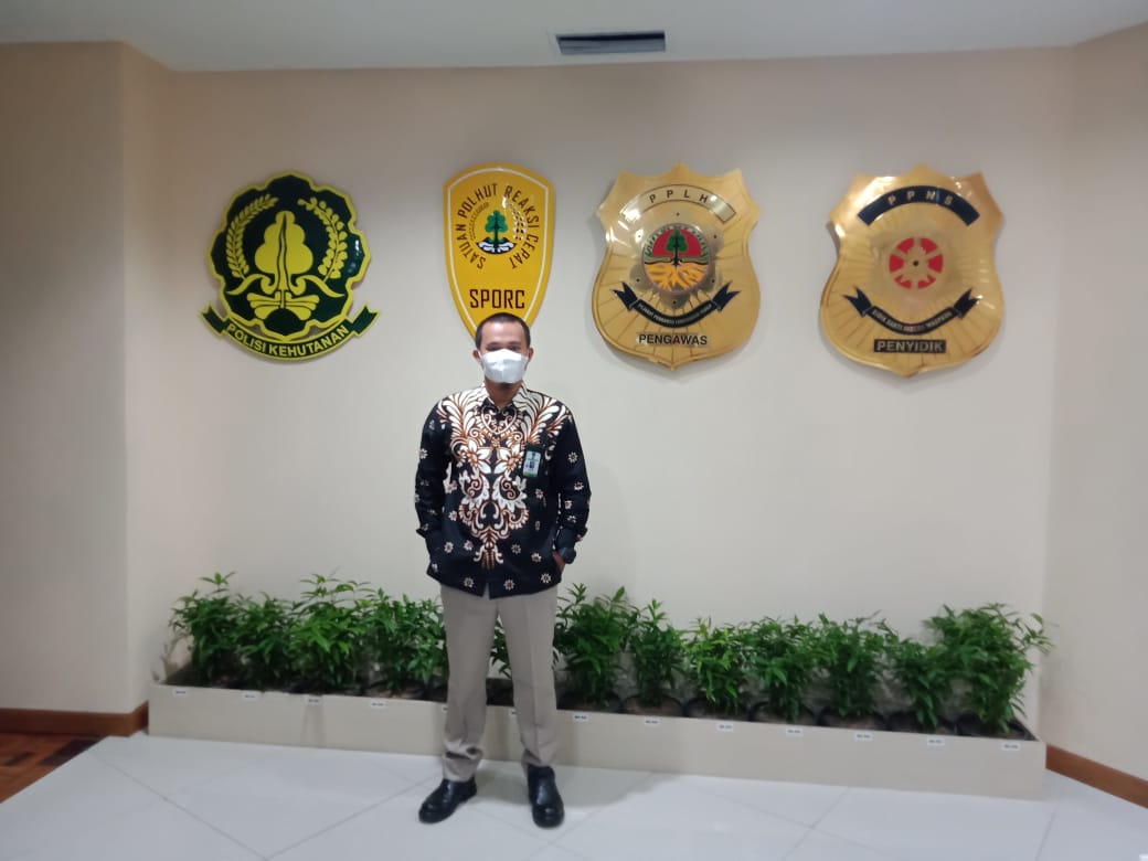 Mafia Tanah