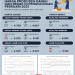 Harga Produsen Gabah