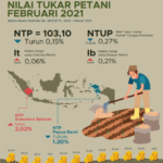 Perkembangan NTP Febuari 2021 Data BPS
