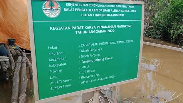 RLH Akan Laporkan Program Penanaman Mangrove di Pulau Tengah