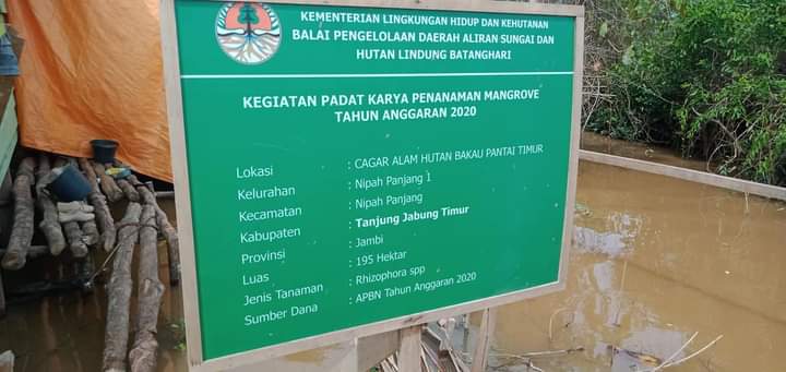 Program Penanaman Mangrove