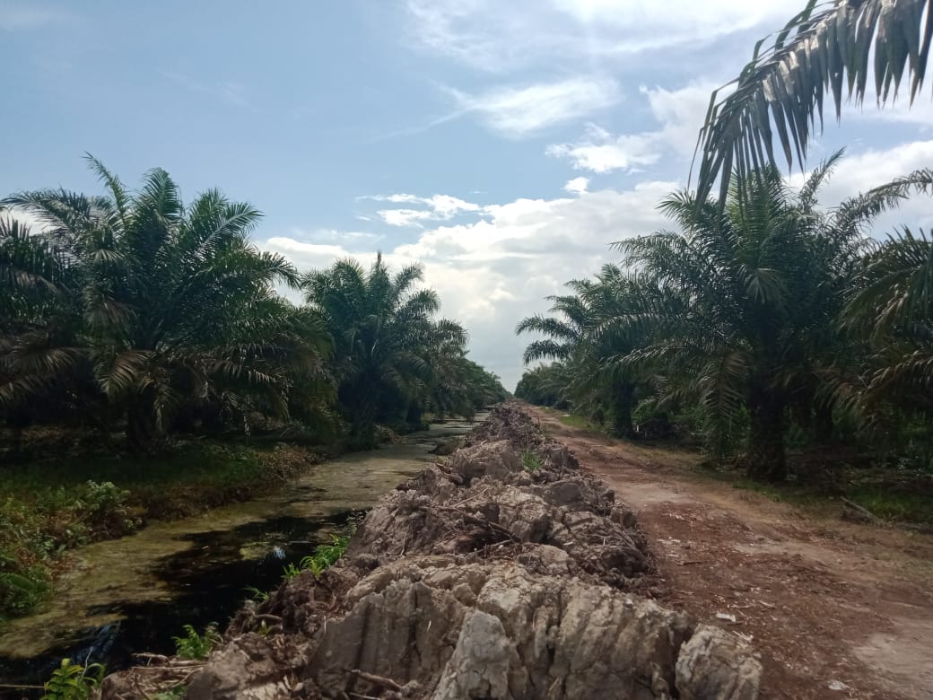 Kawasan Hutan Produksi