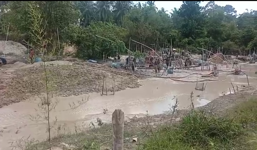PT. Timah