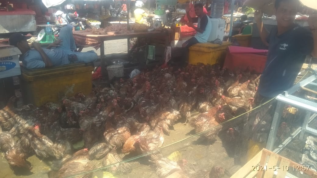 Pedagang Ayam Merah