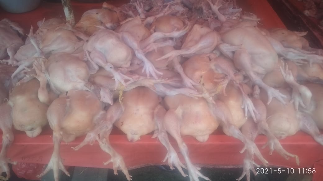 Harga Ayam Potong