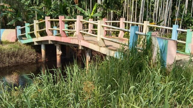 Menguak Peran TPK Lagan Tengah Dalam Kasus Dugaan Pemalsuan Data