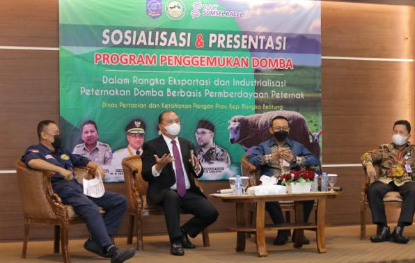 Program Penggemukan Ternak Domba