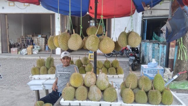 Raja Buah Khas Bangka Sudah Bermunculan di Pangkalpinang