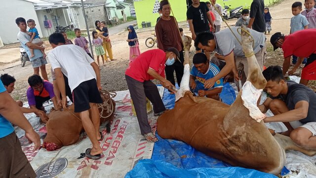 Warga Kampak dan Pengurus Masjid As-Salam Potong Dua Ekor Sapi