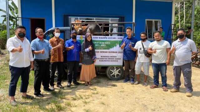Jelang Idul Adha 1442 H, PT. SAML Sumbangkan Empat Ekor Sapi Qurban