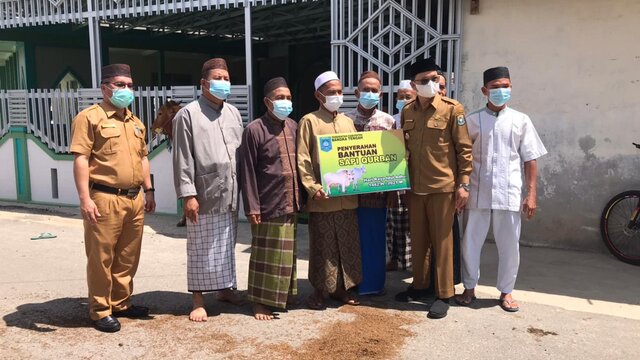 Bupati Algafry Salurkan 65 Ekor Sapi Qurban se Bateng
