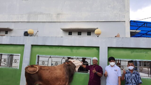 Wujud Kepedulian, CV TLTA Berikan Empat Ekor Sapi Qurban