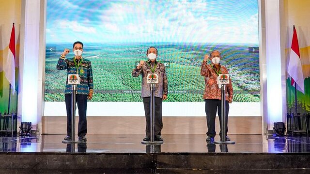 Sektor Usaha Kehutanan Miliki Peran Penting Ciptakan Lapangan Kerja