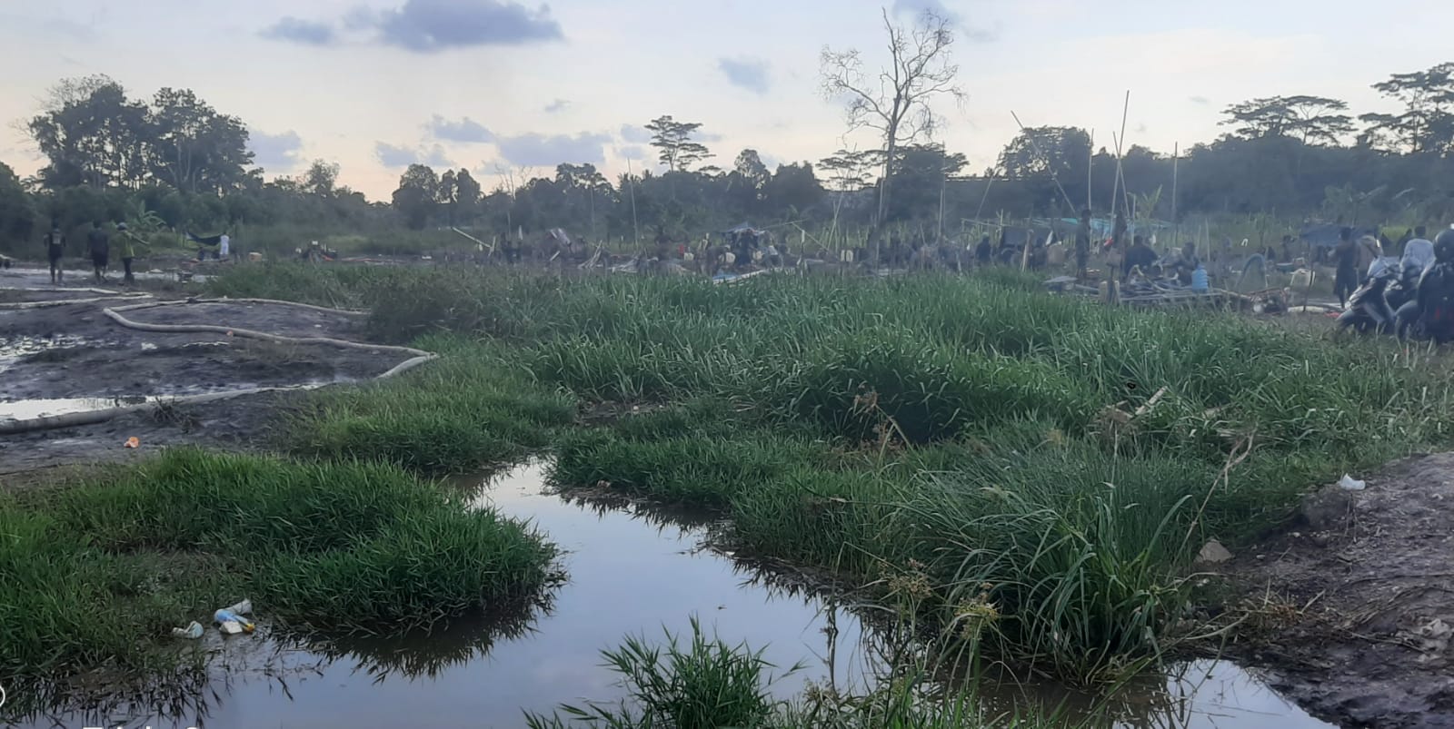 Tambang Timah Ilegal