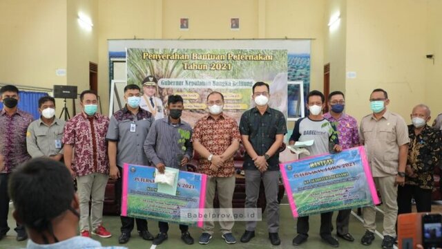 Gubernur Babel Serahkan Bantuan untuk Peternak Sapi di Belitung dan Beltim