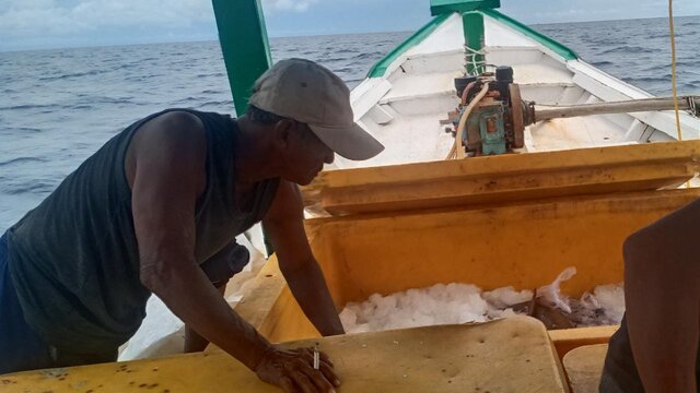 Beberapa Nelayan Baro Keluhkan Anjloknya Harga Ikan di Belitung