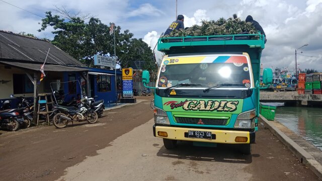Diduga Seludupkan Timah Batangan, Dua Truk Pengangkut Nanas Ditahan Polisi