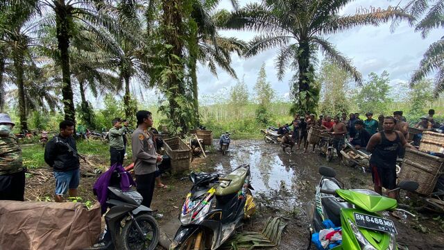Polisi Hentikan Aktivitas Tambang Ilegal di Kawasan Lahan HGU PT.GSBL Belo Laut