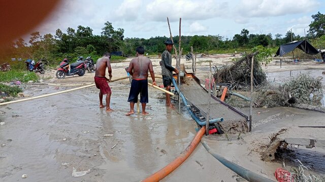 Ketua AMAK Babel Bantah Pernyataan Kapolsek Riau Silip Terkait Aktivitas Tambang di Lahan Perkemahan