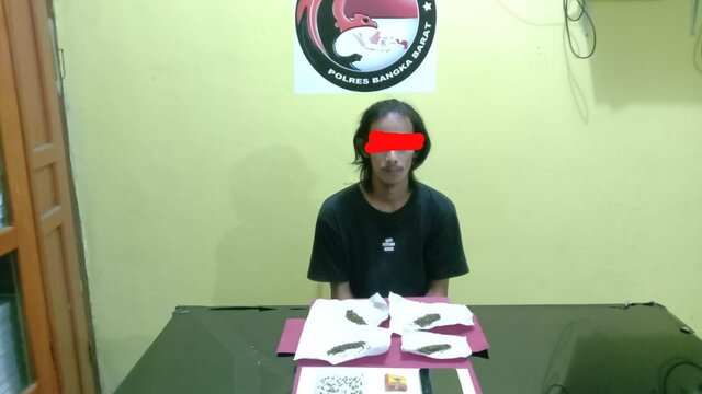 Sat Narkoba Polres Bangka Barat Ungkap Kasus Narkotika Jenis Ganja