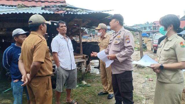Cegah PMK, Polres Torut Bersama Dinas Pertanian Cek Pasar Hewan Bolu