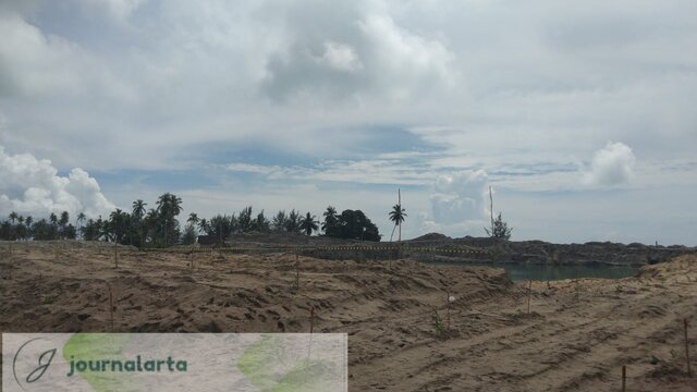 Foto : Reklamasi di Lahan Eks Tambang Timah Ilegal HL Pantai Bedukang