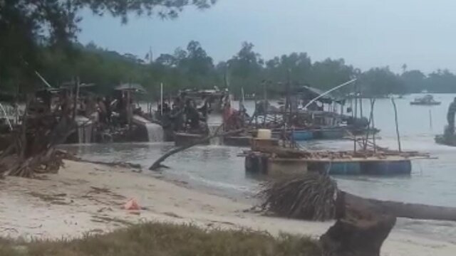 Wilayah Penanaman Bakau Pantai Perepat Mati Dihajar Tambang Ilegal