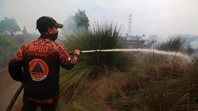 BPBD Kalsel Sebut Hingga Hari ini (23/6) 6 Hutan dan 62 Lahan Terbakar