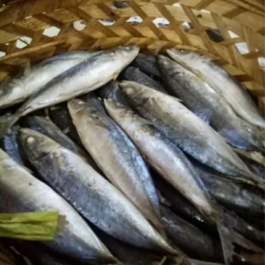 Ikan Pindang