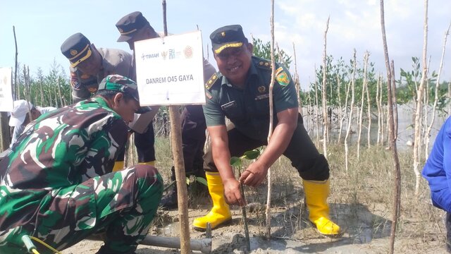 Korem 045/Gaya Ikut Serta Tanam Mangrove Bersama Warga Desa Baskara Bakti