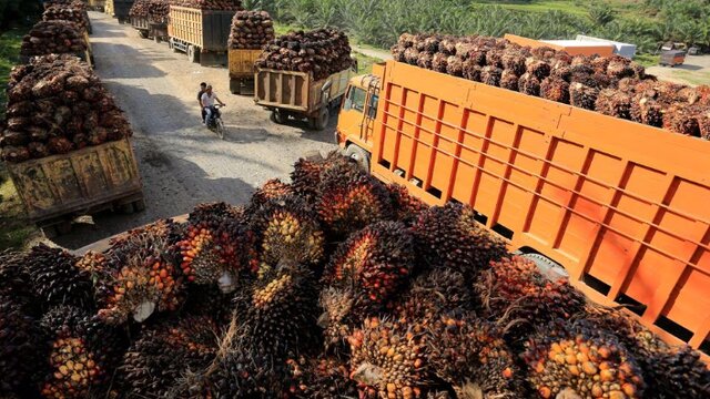 Kejagung Periksa PNS Dirjen Perdagangan Dalam Negeri di Kasus Korupsi CPO