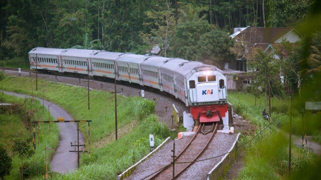Inilah Penyebab Kereta Api Tidak Bisa Mengerem Mendadak