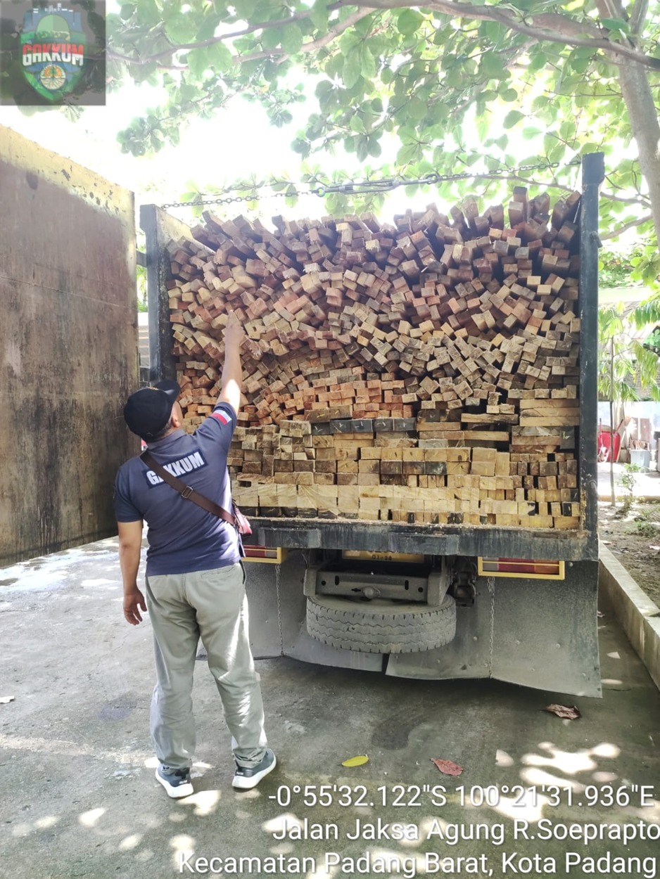 Illegal Logging 