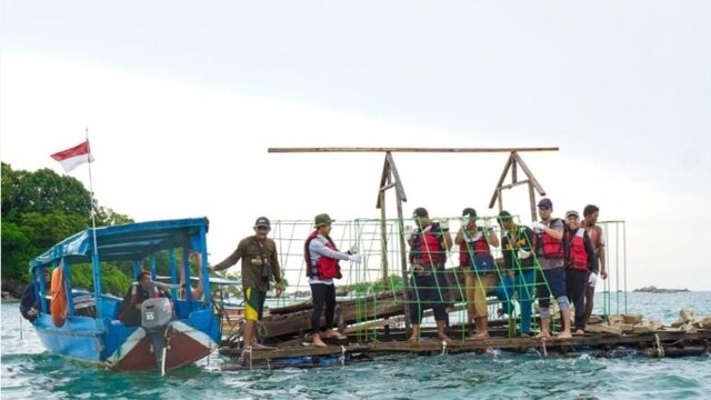 Merawat Ekosistem Pesisir Laut, PT Timah Konsisten Laksanakan Reklamasi